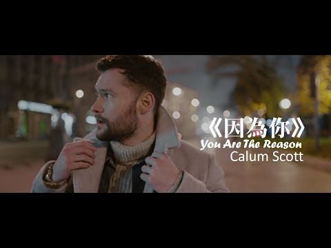 Calum Scott – You Are The Reason 因為你
  (中文字幕MV)
