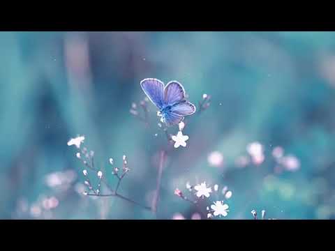 放鬆音樂 療愈音樂|最好聽的音樂 無廣告—meditation music
  relax mind body 10 minute-18