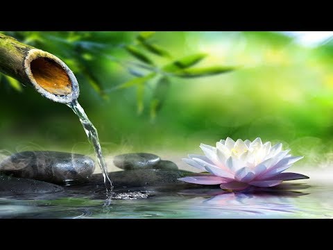 竹製噴泉 – 蓮花的美麗圖畫有蒸發的水，黑色的石頭